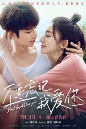 Nonton Film Don’t Forget I Love You (2022) gt Sub Indo