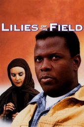 Nonton Film Lilies of the Field (1963) Sub Indo