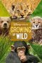 Nonton Film Growing Up Wild (2016) Jf Sub Indo