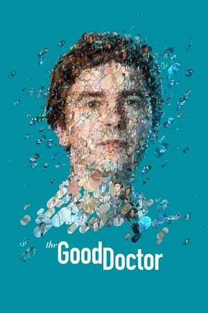 Nonton The Good Doctor Season 6 2022 Sub Indo