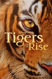 Nonton Film Tigers on the Rise 2024 Sub Indo