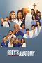 Nonton Film Grey’s Anatomy Season 16 2019 Sub Indo