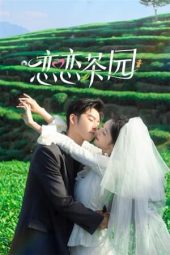 Nonton Film Love in the Tea Garden (2024) Sub Indo