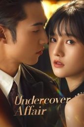 Nonton Film Undercover Affair (2024) Sub Indo