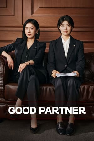 Nonton Good Partner 2024 Sub Indo