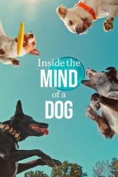 Nonton Film Inside the Mind of a Dog (2024) Jf Sub Indo