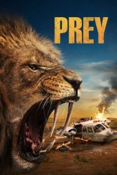 Nonton Film Prey 2024 Sub Indo